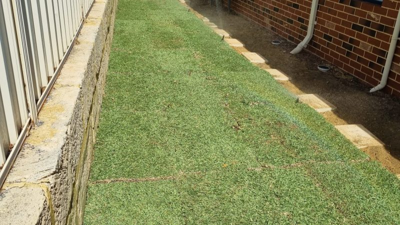 Mr Retic lawn Install Kinross